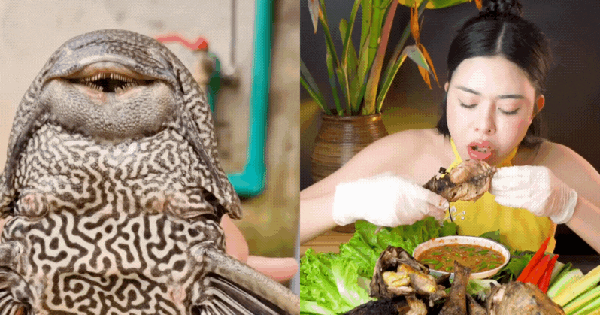 "Thủy quái thời tiền sử" được hội Tiktoker rần rần mukbang gây sốt cộng đồng mạng