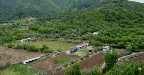 Cặp đôi U50 bỏ phố lên núi, thuê 20.000m² đất hoang để nghỉ hưu, sống “tự cung tự cấp”: “Vất vả chứ không lãng mạn như trên phim”