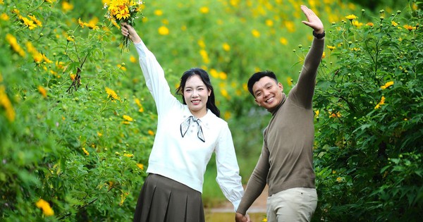 Dã quỳ nhuộm vàng phố núi, Đà Lạt vào mùa đẹp nhất năm