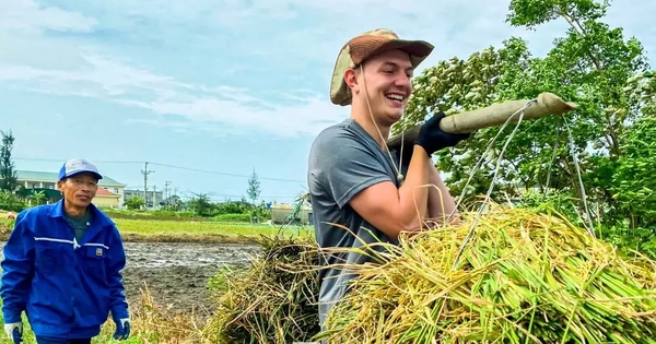 Du khách gặt lúa, bắt cua: 'Tuyệt vời hơn bất cứ tour nào tôi từng tham gia'