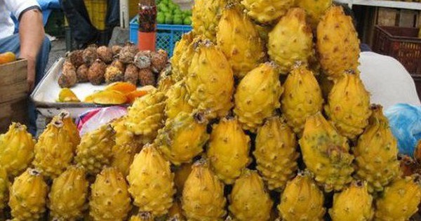 Việt Nam sở hữu 'siêu trái cây' khiến người Trung Quốc siêu mê: xuất khẩu số 1 thế giới, diện tích trồng hơn 55.000 ha