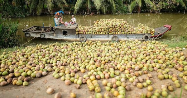 Đặc sản triệu đô của Việt Nam bất ngờ lao dốc cực mạnh: Vì sao nên nỗi?