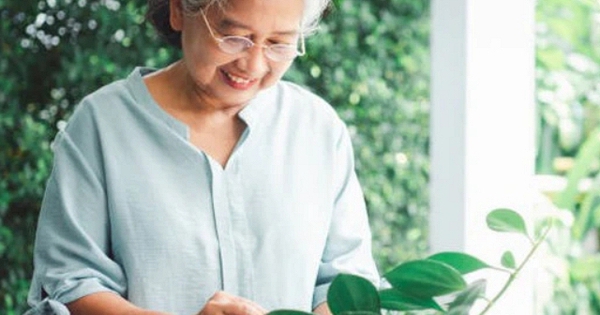 Về già, dù giàu hay nghèo, giữ được 4 điều này mới là may mắn nhất