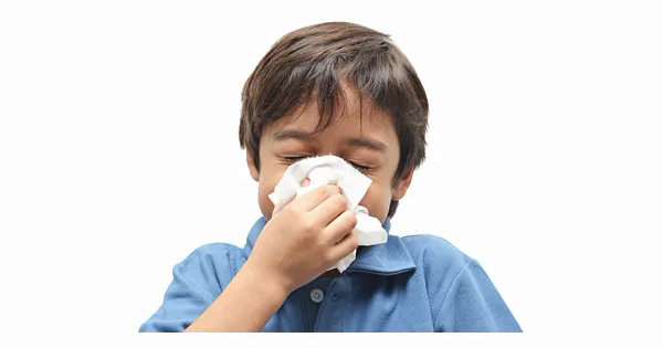 Virus H3N2 đột biến có thể làm bùng phát dịch cúm tại châu Á