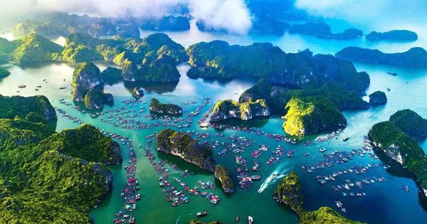 avatar1763273054343 17632730547961059284291 36 0 465 820 crop 17632731682851166547407