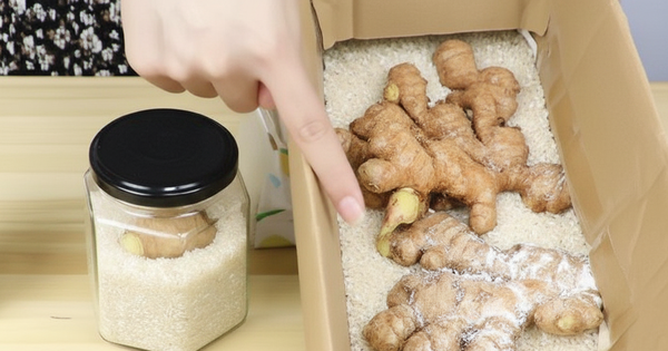 Tôi "tiếc đứt ruột" vì sống đến giờ mới biết 3 mẹo bảo quản gừng nửa năm vẫn tươi ngon, giữ được nhiều dinh dưỡng!