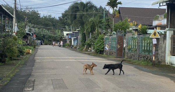 Nam thanh niên không uống được nước, không chịu được tiếng ồn và tử vong sau 20 ngày bị chó cắn