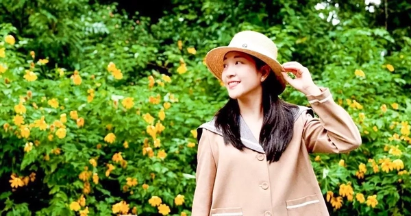 Bạn trẻ vượt 100 km lên Ba Vì chụp hoa dã quỳ trong mưa rét