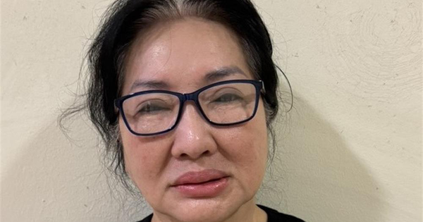 Đề nghị truy tố bà Nguyễn Thị Như Loan, Tổng Giám đốc Quốc Cường Gia Lai