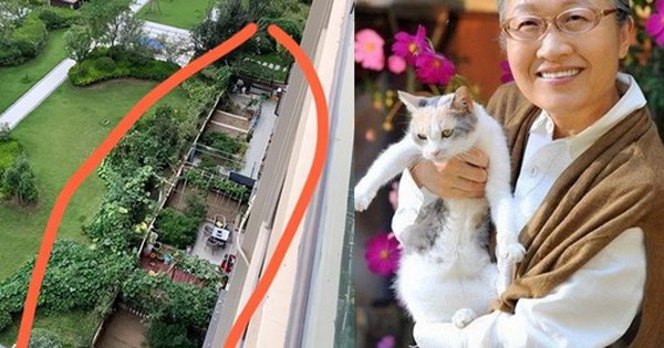 Sau 5 năm sống ở tầng 24, mẹ tôi chuyển xuống tầng một và “sống lại”: Sự thay đổi khiến cả họ hàng bất ngờ