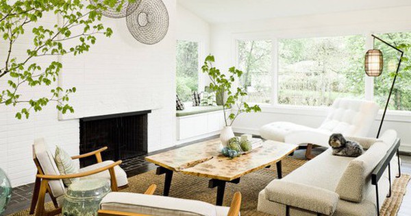 Đầu năm mới khuyên bạn nên trồng 5 loại cây này: Rước lộc vào nhà, hút tiền bạc như nam châm