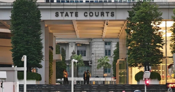 Người phụ nữ Việt nhận án tù tại Singapore vì tội đa phu