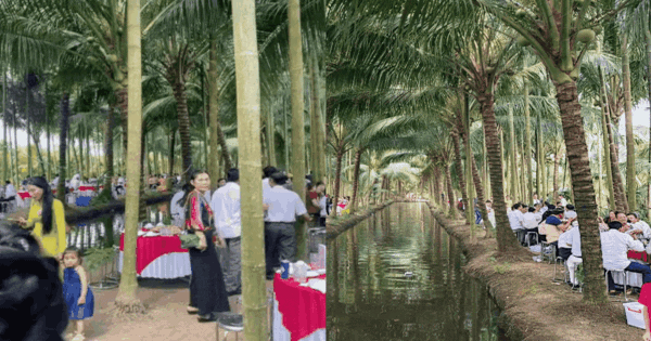 Đám cưới miền Tây "lạ nhất quả đất": Địa điểm không ai nghĩ đến, khách vui tưng bừng nhưng sợ 1 điều