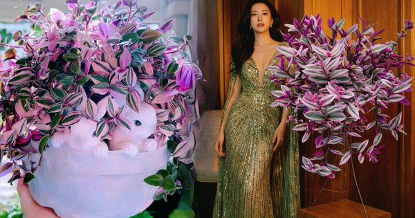 Loài cây "tranh sơn dầu" đang hot rần rần: Vừa rẻ vừa đẹp, đặt đâu sang đó, chưng Tết này là chuẩn bài!