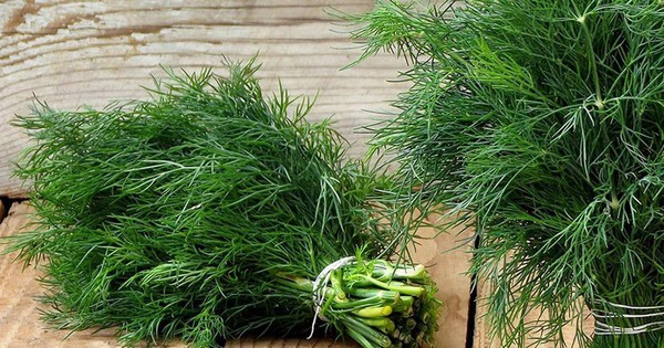 2 loại rau gia vị được ví như "vị thuốc xanh" cho cơ thể