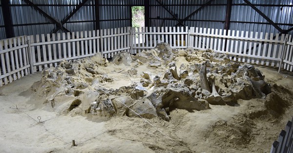 Ukraine: Phát hiện 4 công trình lạ xây bằng xương quái thú