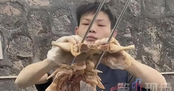 Cậu bé 16 tuổi bán gà quay kiếm hơn 37 triệu/ngày: Sự thật phía sau khiến nhiều người bất ngờ