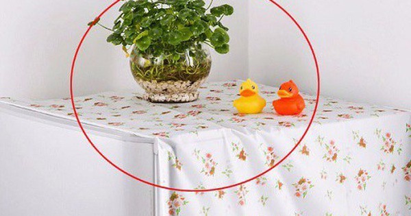 Nhà có chật cũng tuyệt đối không nên đặt 4 thứ này trên nóc tủ lạnh