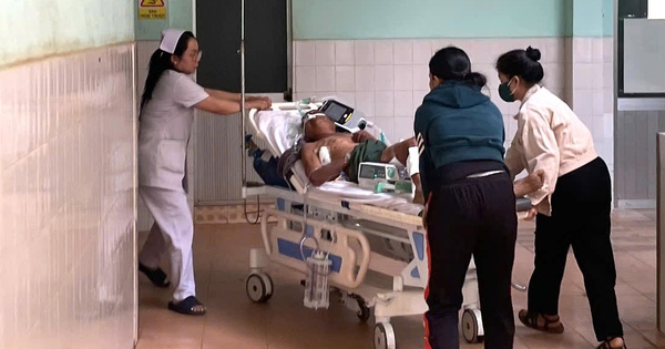 Cụ ông 77 tuổi bị trâu húc nguy kịch