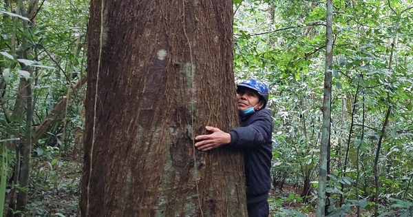 Chuyện lạ: Người đàn ông có tên được đặt cho loài thực vật mới ở Quảng Trị