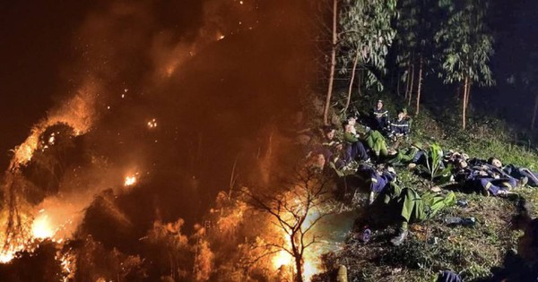 Cháy rừng ở Tuyên Quang: Hơn 1.000 người trắng đêm dập lửa, trên 20 ha rừng bị thiệt hại