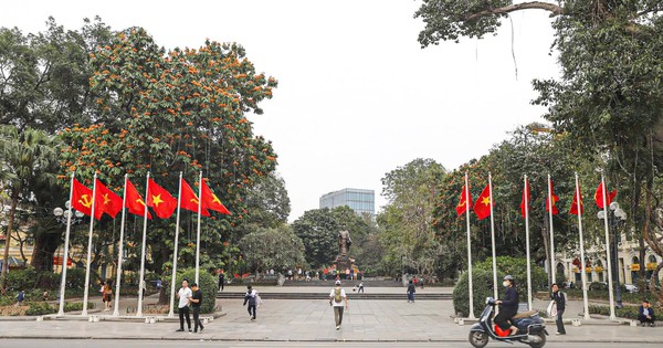 Hà Nội lên tiếng về thông tin chặt hạ chặt cây cổ thụ ở vườn hoa Lý Thái Tổ cạnh hồ Gươm