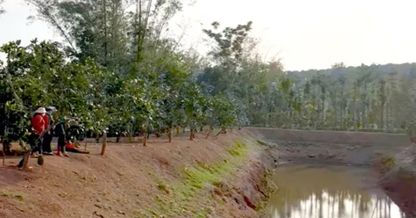 2 học sinh chết đuối thương tâm trong ao nước