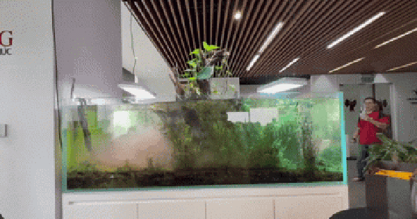 Những trận động đất từng gây ảnh hưởng đến Hà Nội và TP.HCM khiến người dân cảm nhận rõ rung lắc