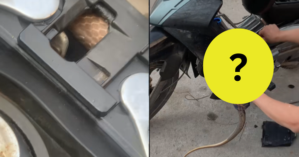 Mở cốp xe, nam thanh niên phát hiện thứ khiến dân tình rùng mình: "Xem mà nổi hết da gà!"