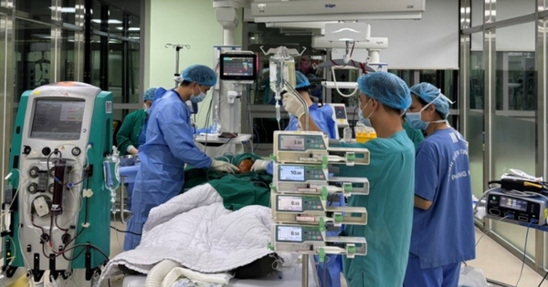 Tự chữa đau răng, người đàn ông sốc nhiễm khuẩn, nguy kịch