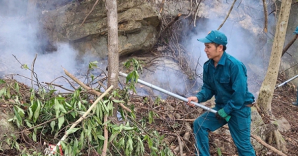 Phó Thủ tướng yêu cầu điều tra nguyên nhân 2 vụ cháy rừng tại Quảng Ninh