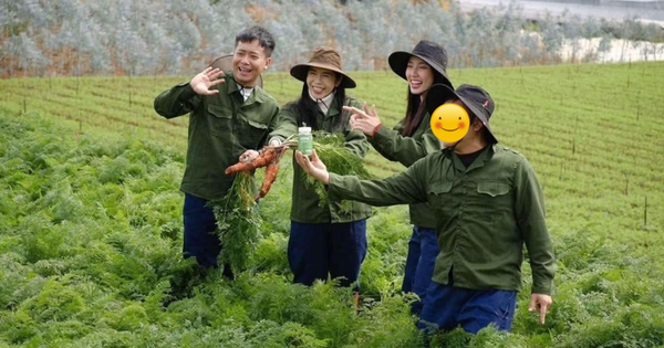 Thông tin mới nhất về tung tích vùng nguyên liệu sản xuất kẹo Kera