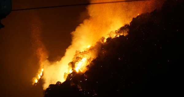 Đã khống chế được đám cháy rừng ở Hà Nam