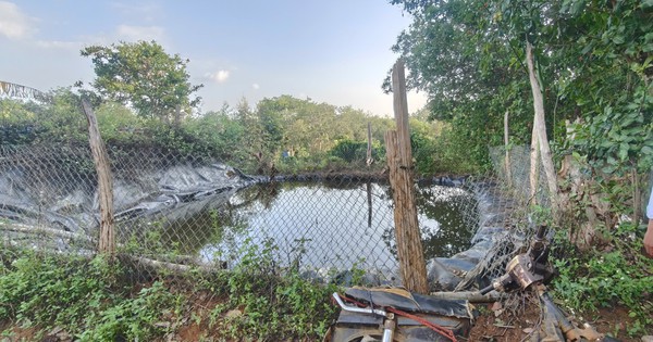 Hai anh em ruột tử vong thương tâm trong ao nước tưới cà phê