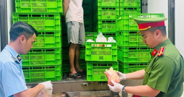 Đột nhập chợ đầu mối ở Hà Nội, phát hiện 20 tấn gà “bẩn” và nội tạng gia cầm