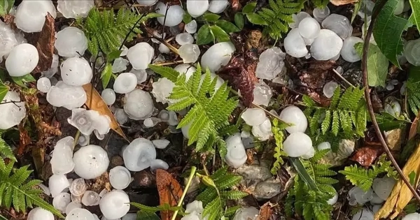 Mưa đá như trút ở Hà Giang và Cao Bằng