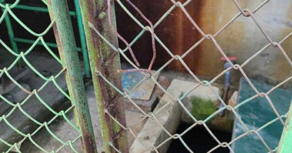 Bé 5 tuổi chết trong bể nước trường mầm non: Bảo vệ quên khóa cửa, đậy nắp bể