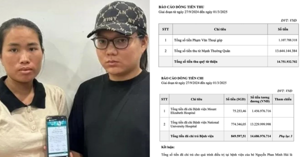 Công ty nào đứng ra làm báo cáo tài chính cho Phạm Thoại vụ việc liên quan Mẹ Bắp?