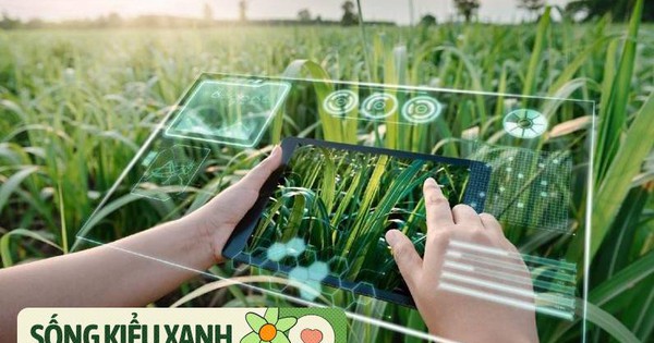 Từ CSR đến ESG: Doanh nghiệp phải "xanh" như thế nào để bền vững thật sự?