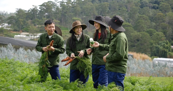 Tiếp tục xử phạt Tập đoàn Chị Em Rọt liên quan vụ kẹo rau củ Kera