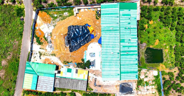 Người dân Bảo Lộc kêu trời vì trại heo bốc mùi kinh khủng trong khu dân cư