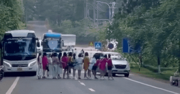 Chỉ vì một bức ảnh, nhóm du khách liều lĩnh chặn cả dòng xe trên đường khiến dân mạng phẫn nộ