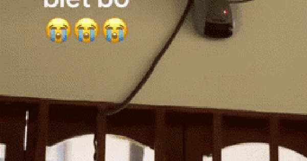 Phóng to clip, nhiều người bủn rủn chân tay khi chứng kiến "vị khách lạ" đánh đu trên tường