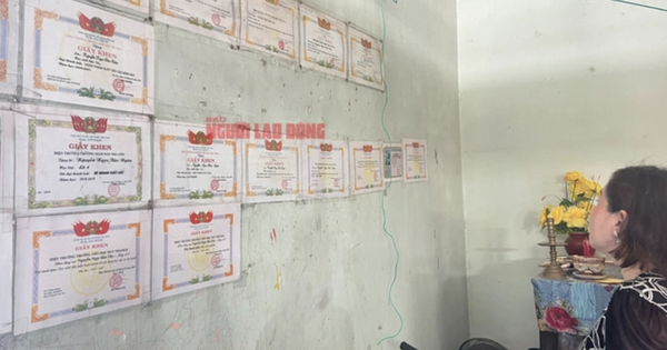 Vụ tai nạn giao thông làm chết bé gái ở Vĩnh Long: Quan điểm của các cơ quan liên ngành tỉnh ra sao?