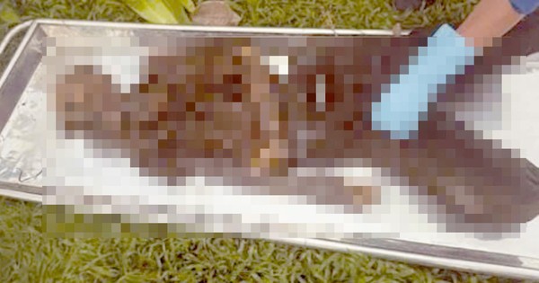 Tìm thân nhân bộ xương người được phát hiện dưới chân cầu ở TPHCM