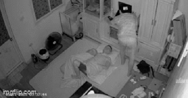 Vị khách lạ lẻn vào phòng lúc 3 giờ sáng, đang lúi húi làm một việc thì gia chủ thức giấc "bắt tại trận": 3 giây đối mặt khiến tất cả đứng hình!