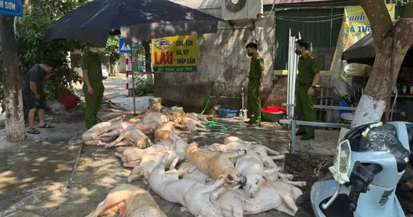 Phát hiện hơn 1 tấn thịt lợn xuất huyết ngoài da, ruồi bâu đầy chuẩn bị lên lò nướng