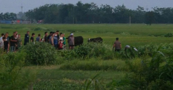 Hà Nội: Thả diều bị mắc vào đường điện cao thế, 3 học sinh bị điện giật thương vong