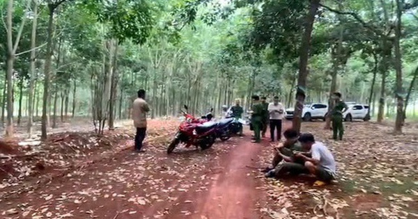Bàng hoàng phát hiện thi thể nam giới treo lơ lửng trên cây cao su