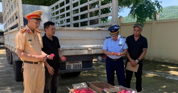 1.240 hộp mỹ phẩm không rõ nguồn gốc trên xe ô tô biển nước ngoài